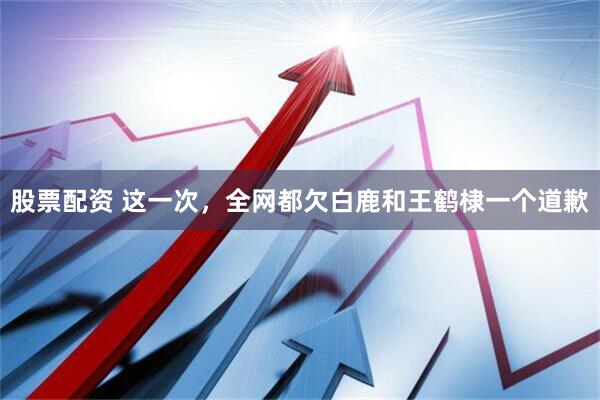 股票配资 这一次，全网都欠白鹿和王鹤棣一个道歉